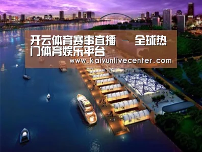 案例展示八