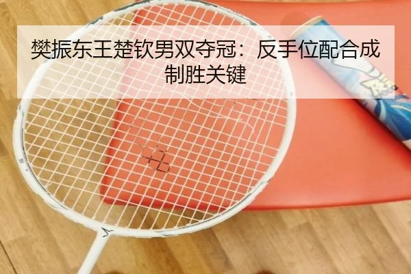 fan-zhen-dong-wang-chu-qin-nan-shuang-duo-guan-fan-shou-wei-pei-he-cheng-zhi-sheng-guan-jian-3-468.jpg