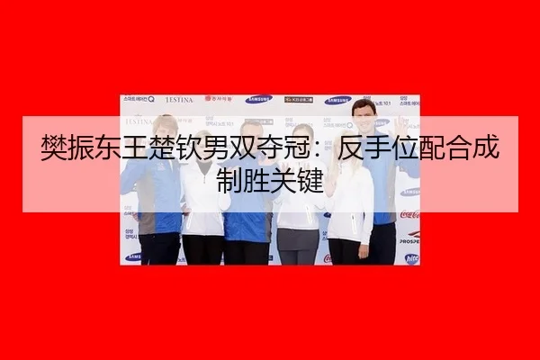 樊振东王楚钦男双夺冠：反手位配合成制胜关键