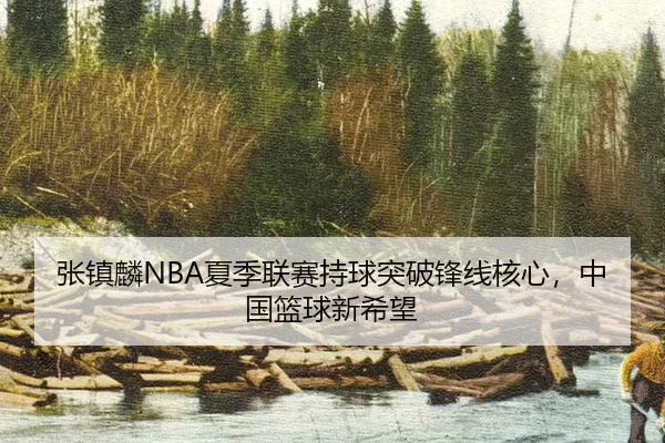 张镇麟NBA夏季联赛持球突破锋线核心，中国篮球新希望
