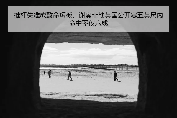 tui-gan-shi-zhun-cheng-zhi-ming-duan-ban-xie-ao-fei-lei-ying-guo-gong-kai-sai-wu-ying-chi-nei-ming-zhong-lv-jin-liu-2-869.jpg