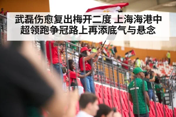 soccer stadium crowd